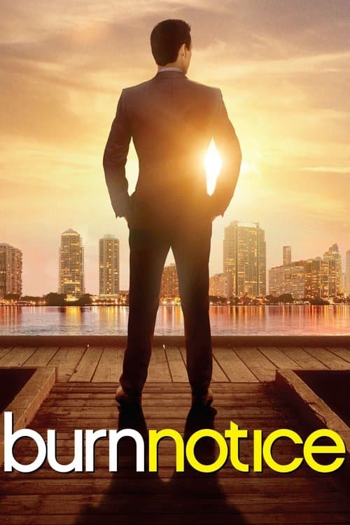 Burn Notice Série Vf Stream • Papadustream