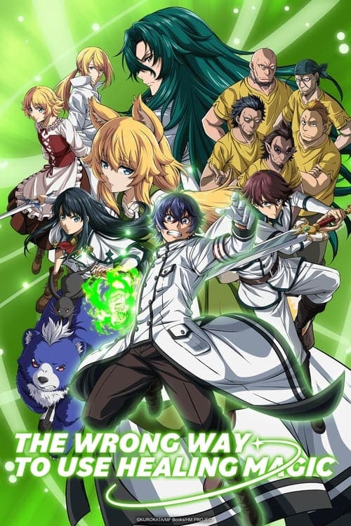 The Wrong Way to Use Healing Magic Série Vf Stream • Papadustream